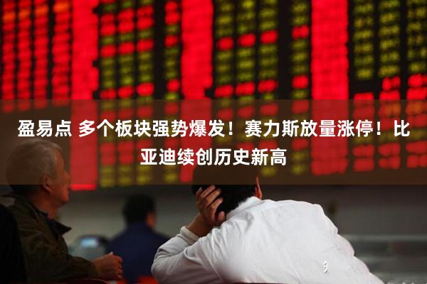 盈易点 多个板块强势爆发！赛力斯放量涨停！比亚迪续创历史新高