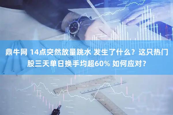 鼎牛网 14点突然放量跳水 发生了什么？这只热门股三天单日换手均超60% 如何应对？