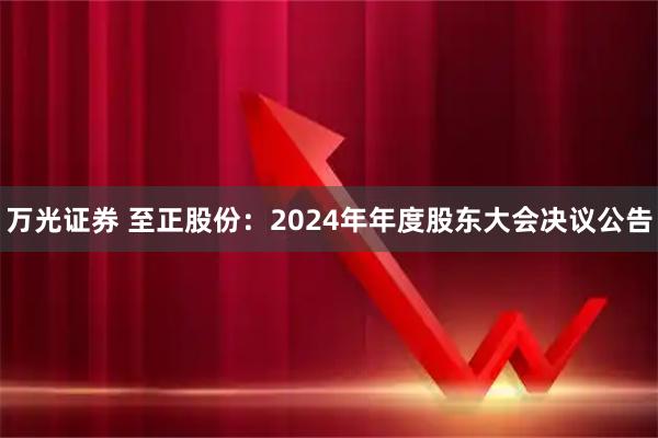万光证券 至正股份：2024年年度股东大会决议公告