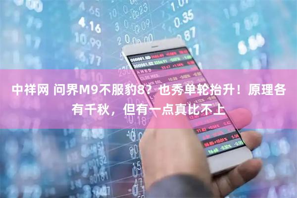中祥网 问界M9不服豹8？也秀单轮抬升！原理各有千秋，但有一点真比不上