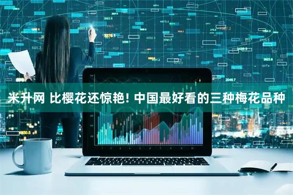 米升网 比樱花还惊艳! 中国最好看的三种梅花品种